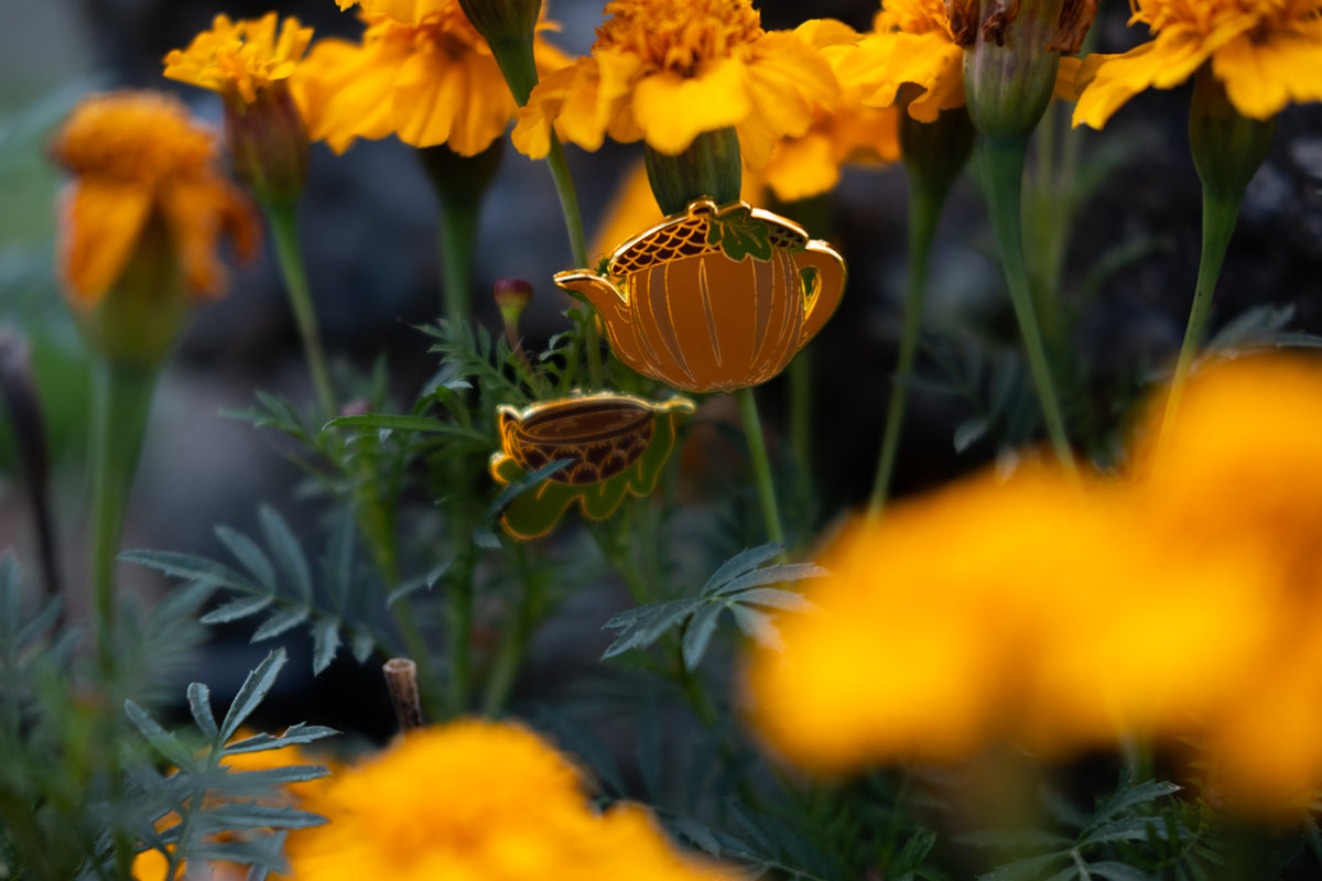 Close-up of marigold flowers in a garden, with bright orange-yellow blooms and green foliage in soft focus.