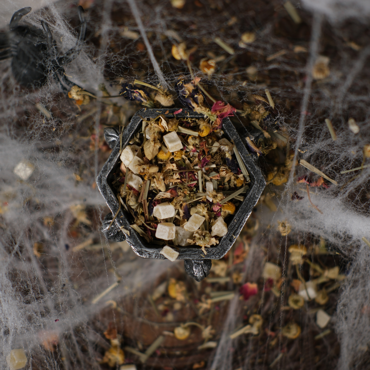 Small container filled with dried herbs and flowers on a spider web