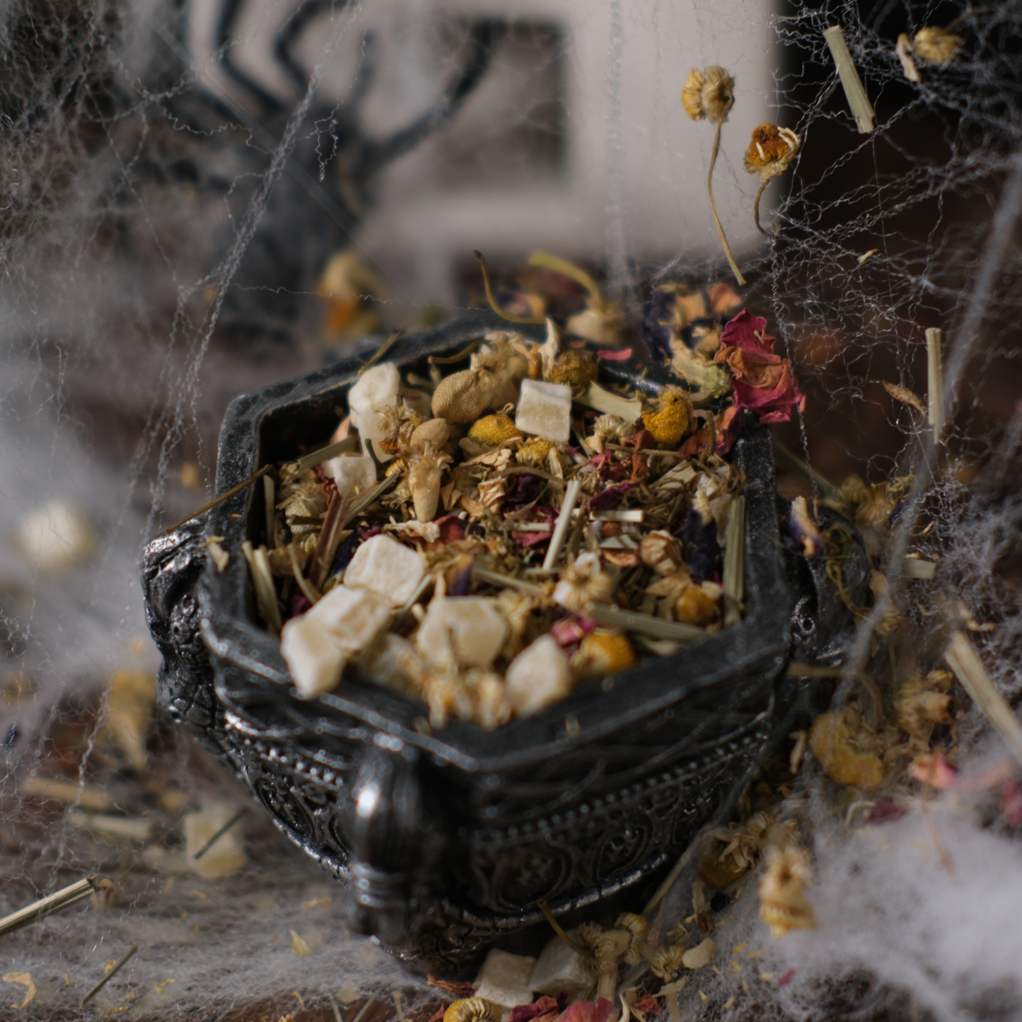 The Magnus Archives: Hilltop Road [PRE-ORDER]